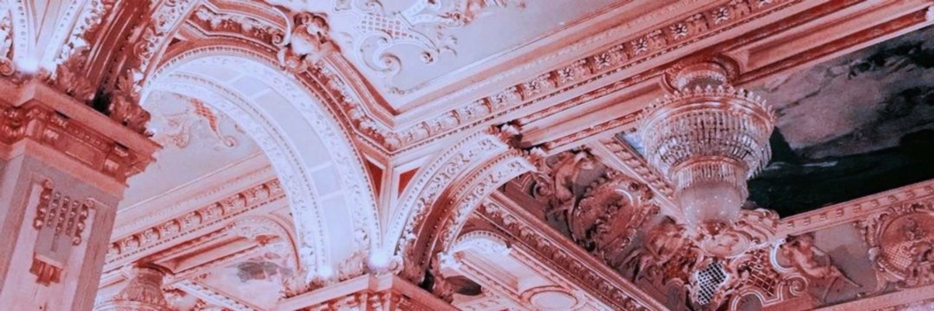 💕🇫🇷Hydra🇫🇷💕