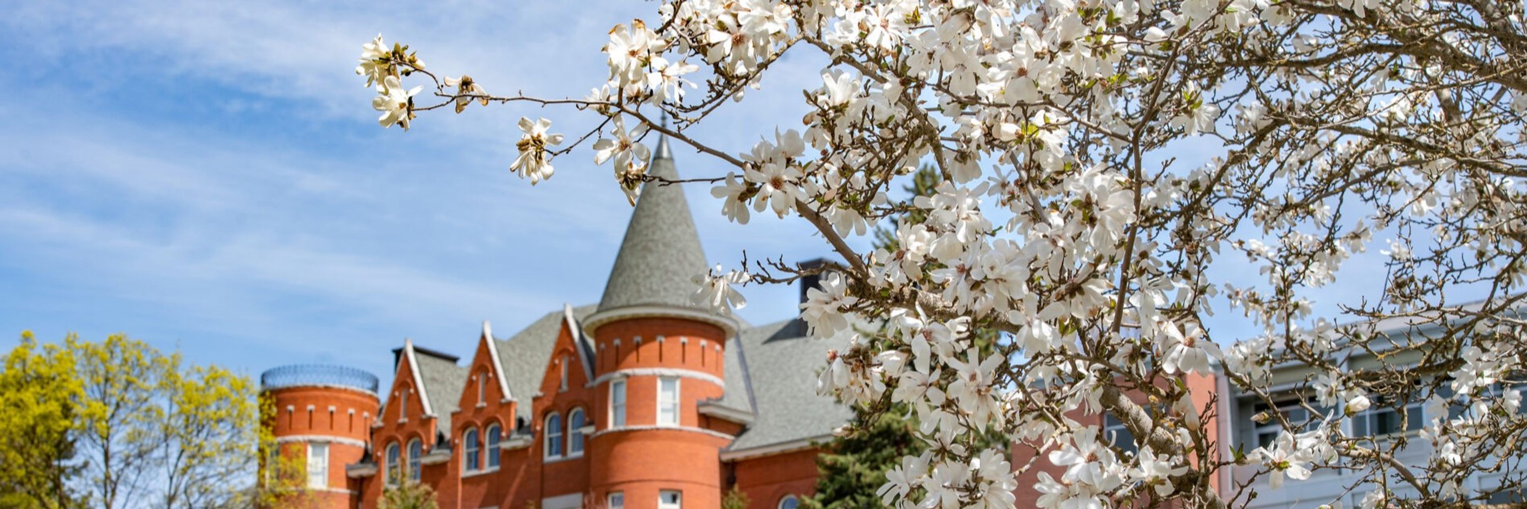 WSU Pullman Chancellor