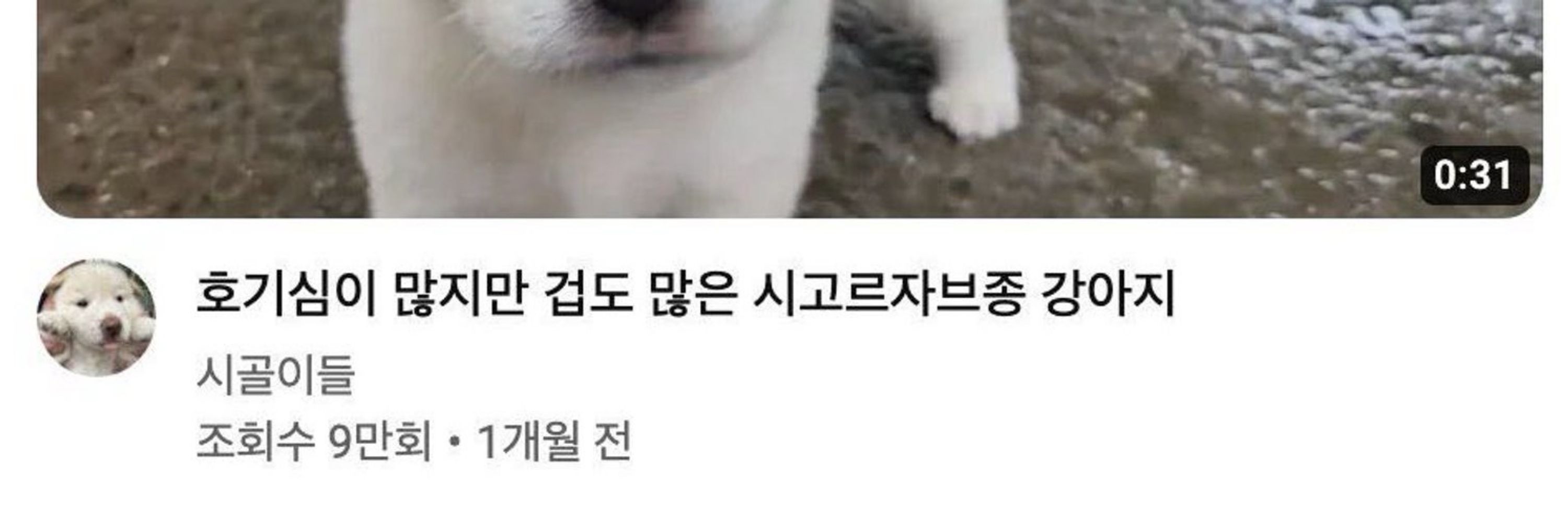 김행짝.☘︎ ݁˖꙳