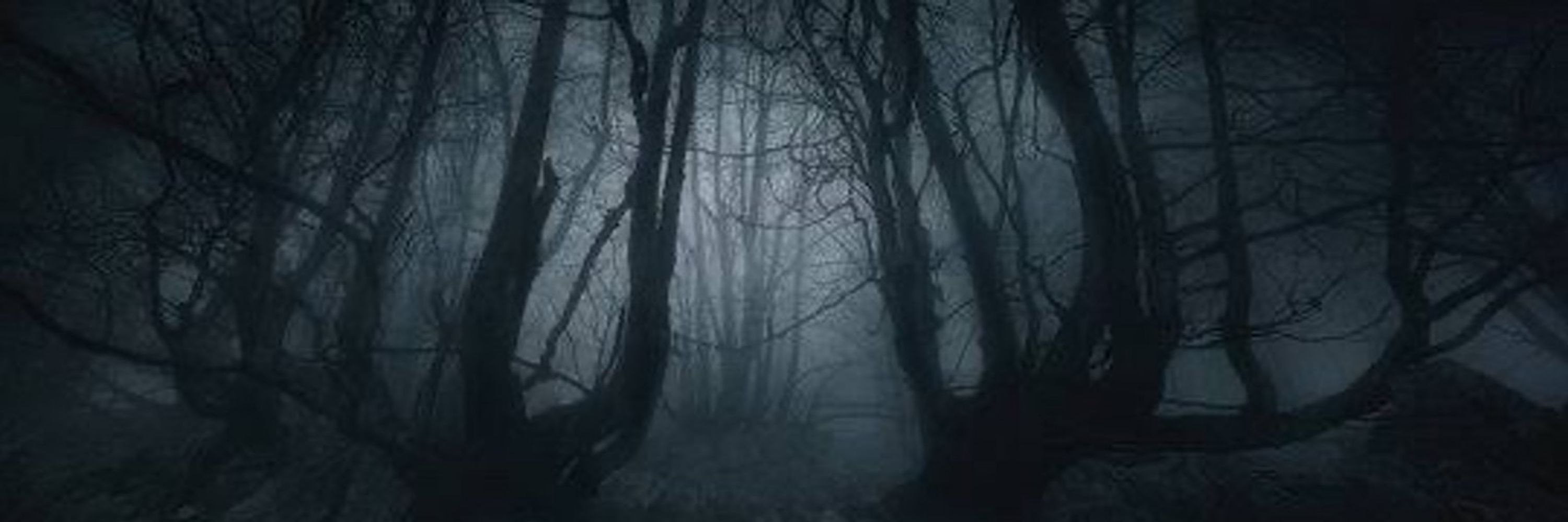 The Fog