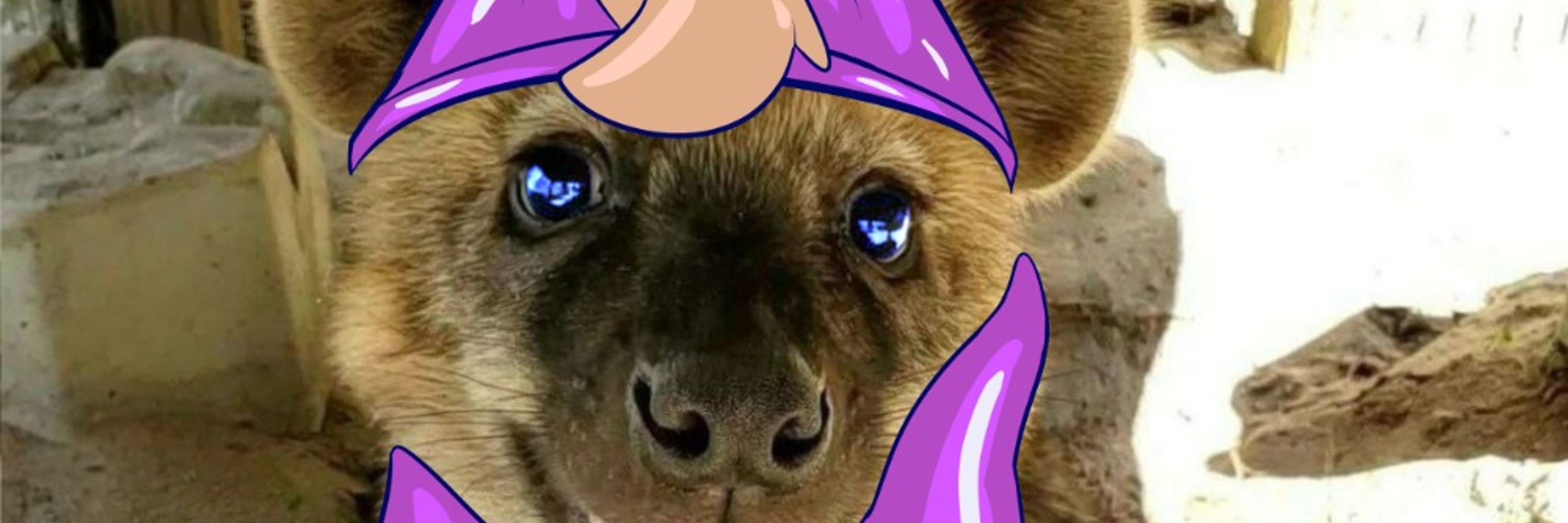 Hyena Rubber/Rick/Haze
