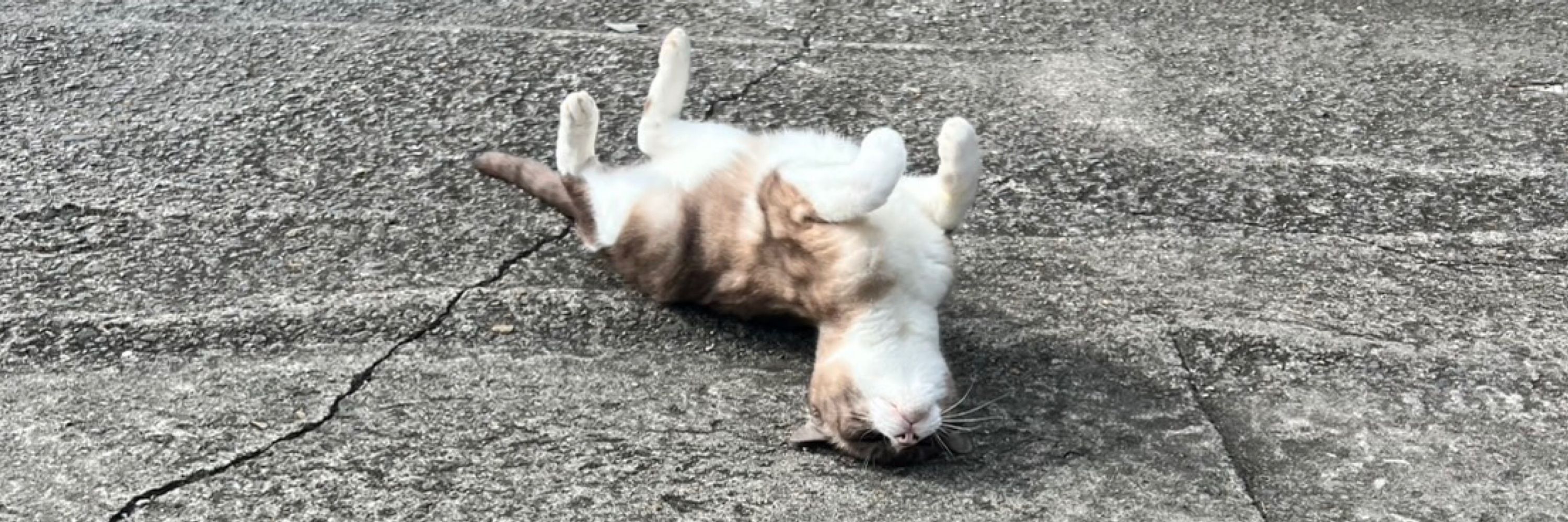 お