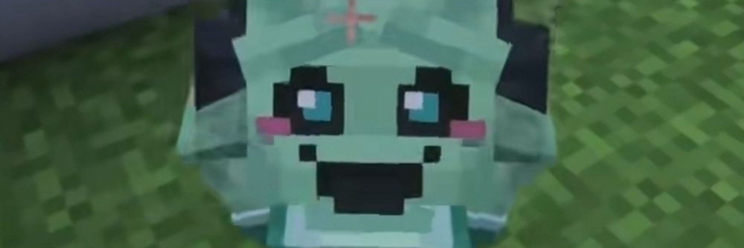 D4yy