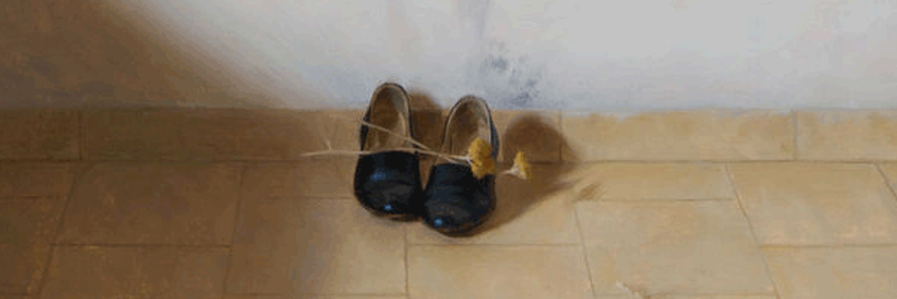 Athanasios Shields