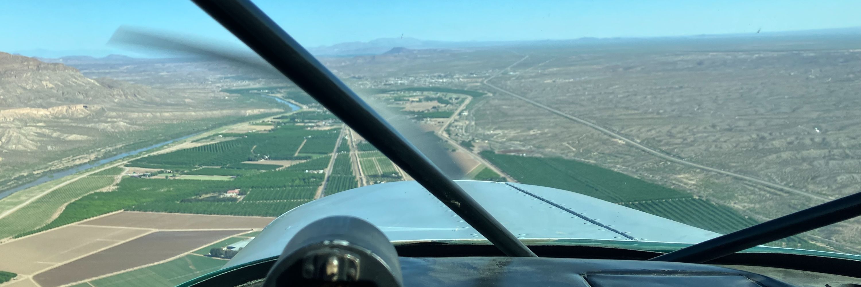 lynx🐾🛩