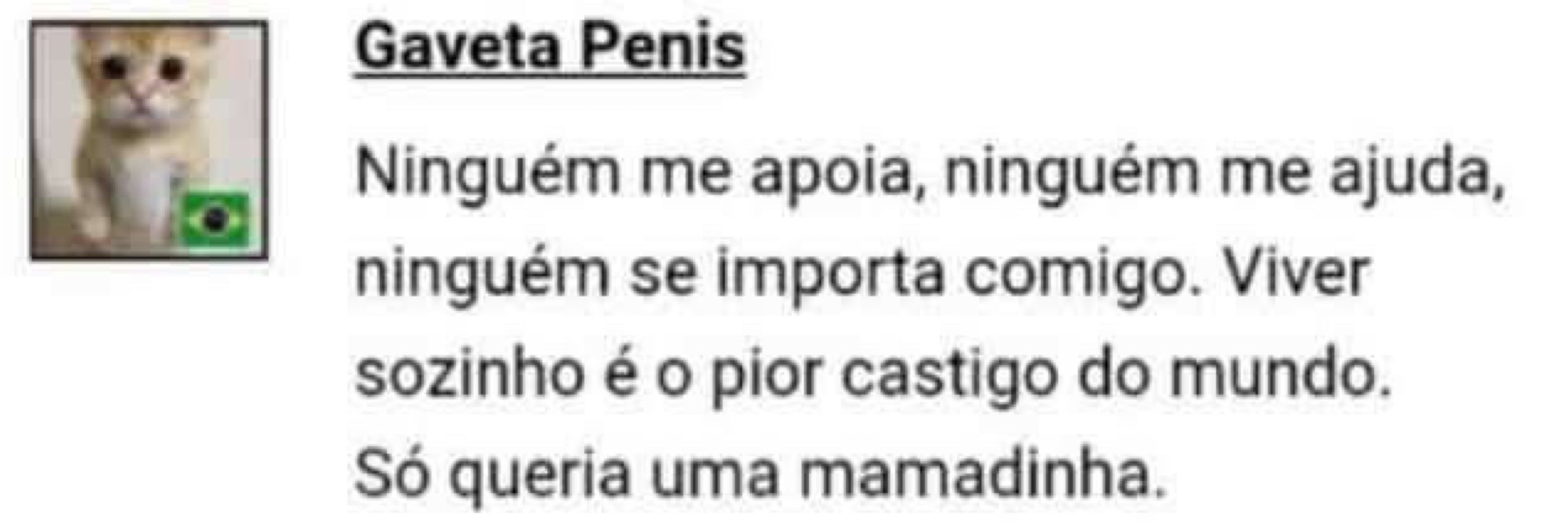 vini