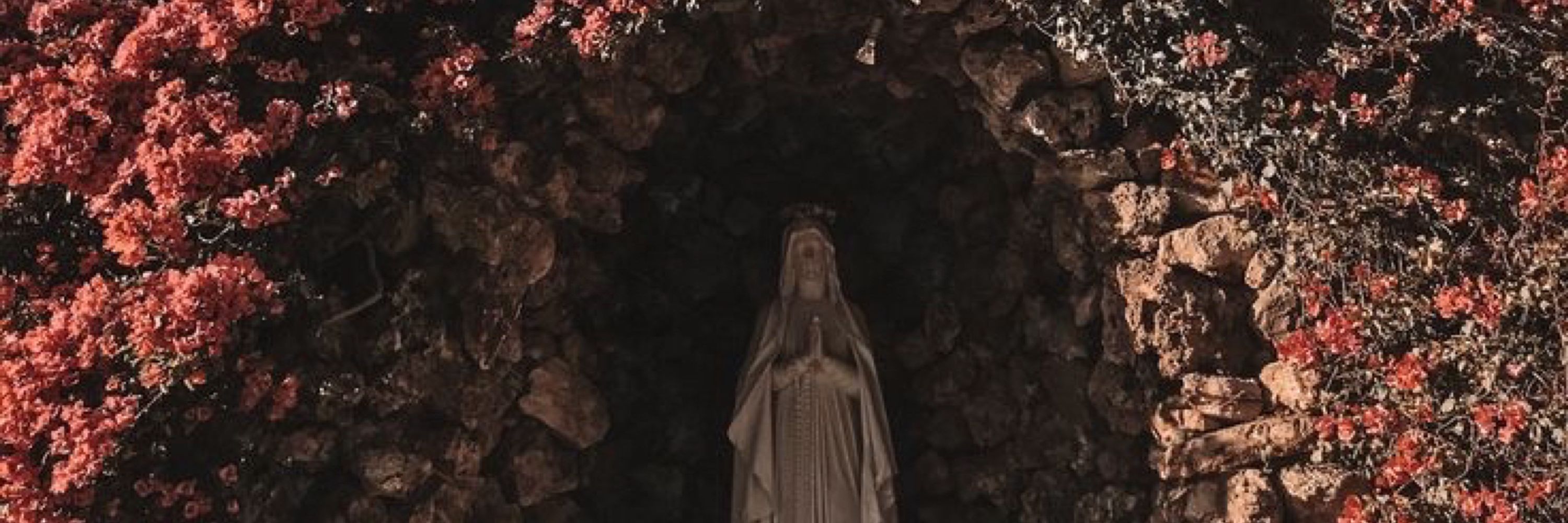 Ana Sofia 🇻🇦