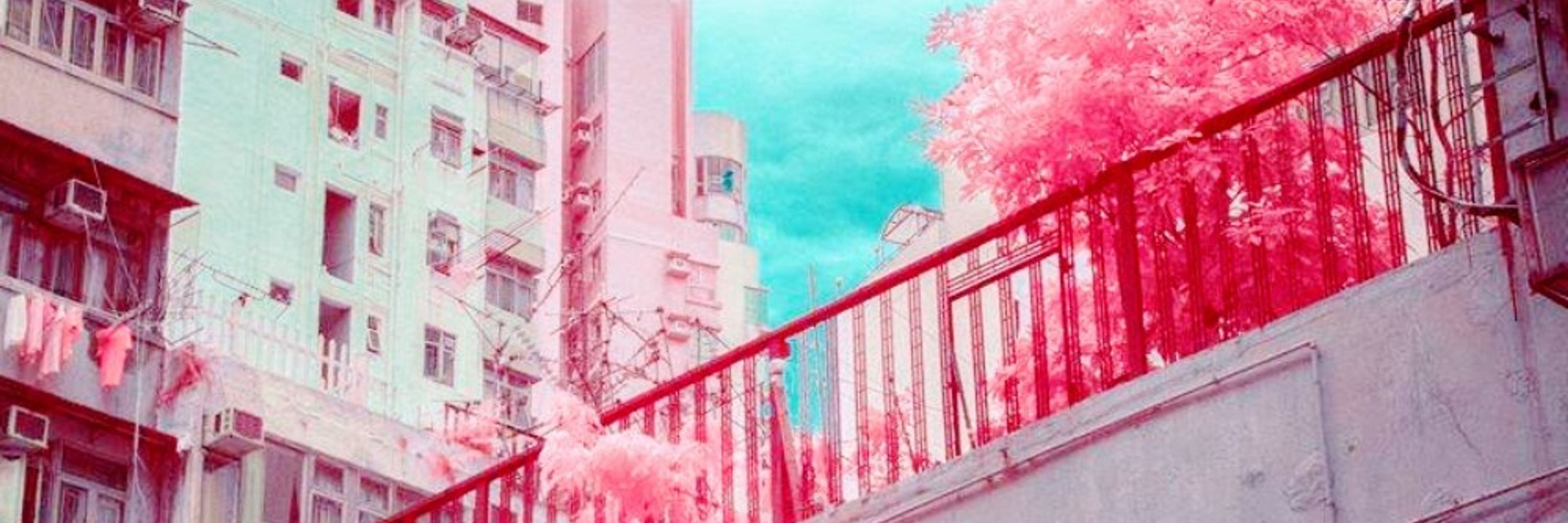 ☁️🌸See999🌸☁️
