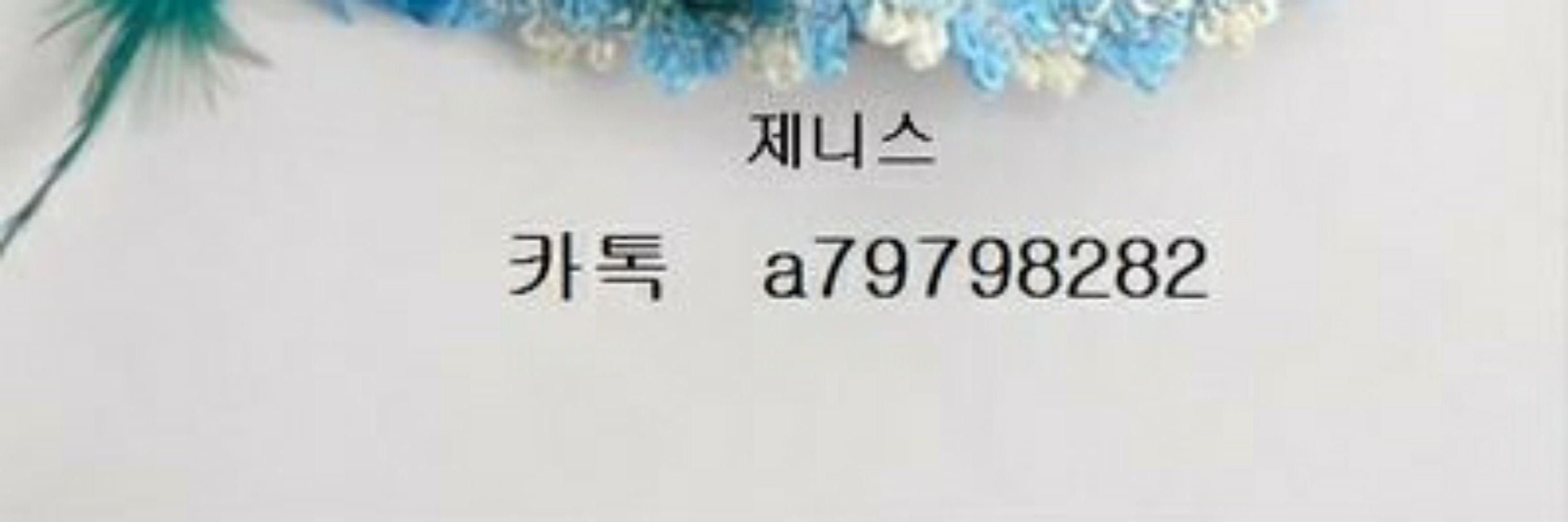 제니스