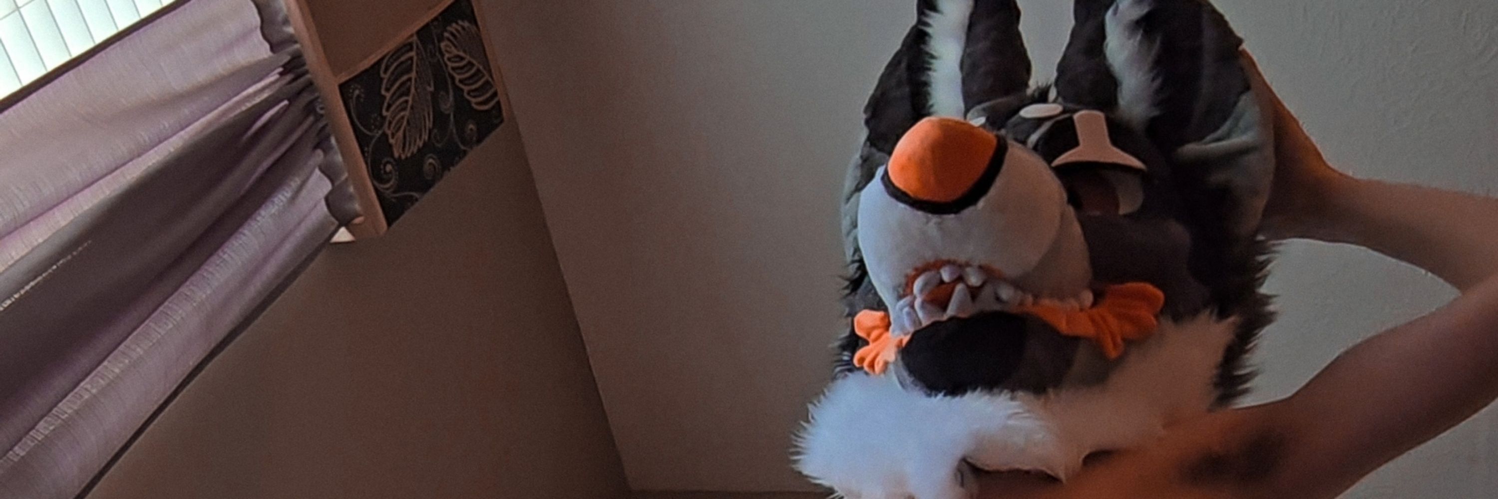 𝘈𝘒𝘈𝘙𝘐 / 6𝘒 🧡🖤