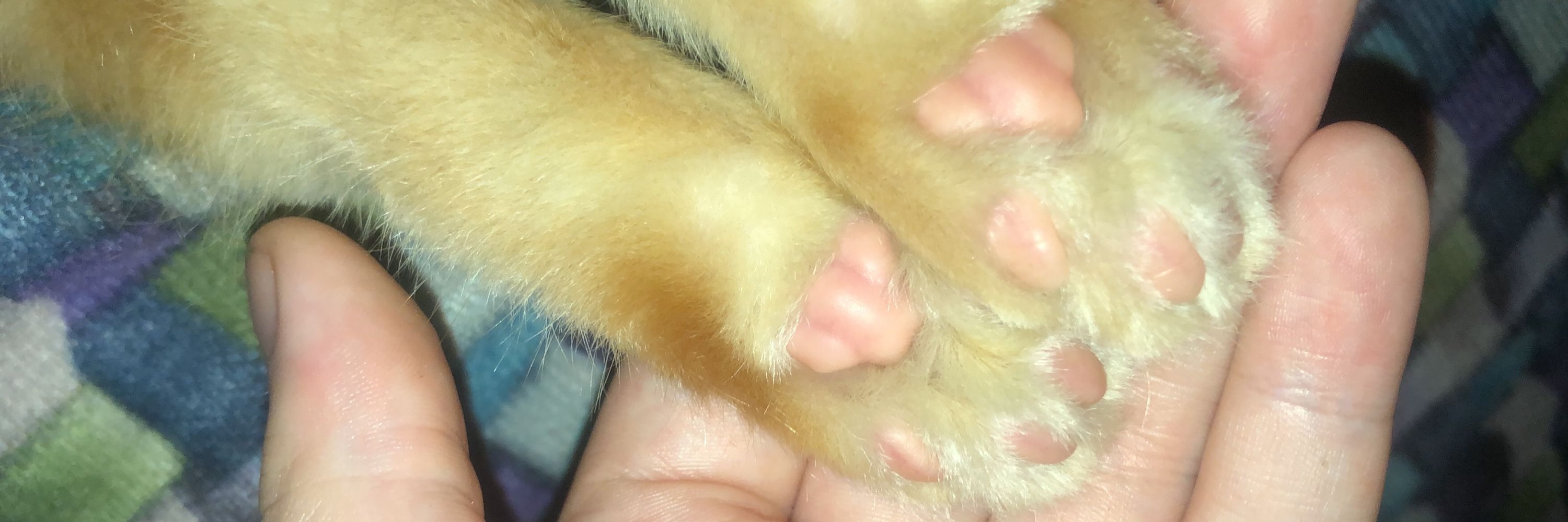 hyug4a
