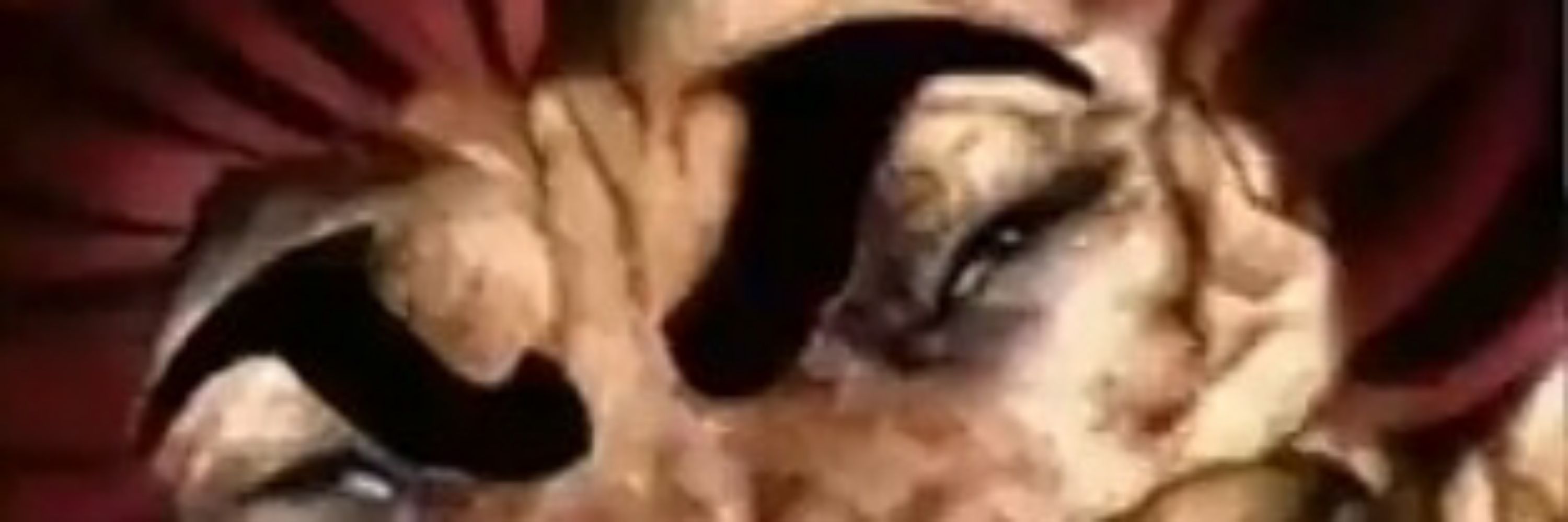Caco o Símio