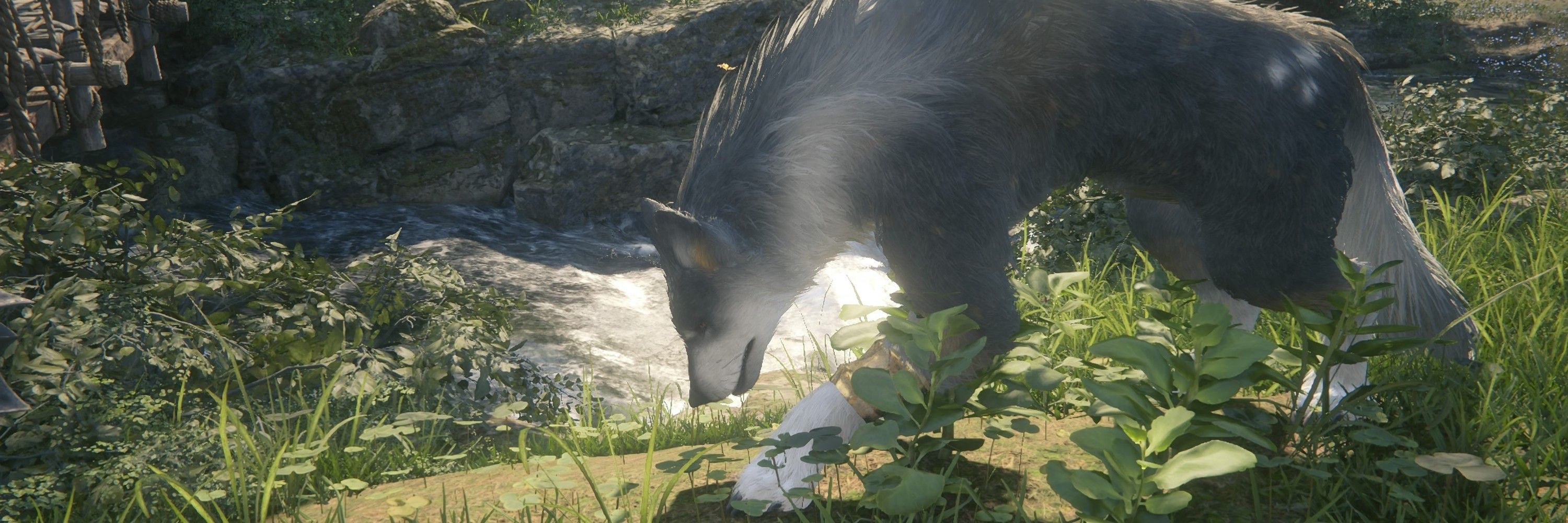 にゃんぱす