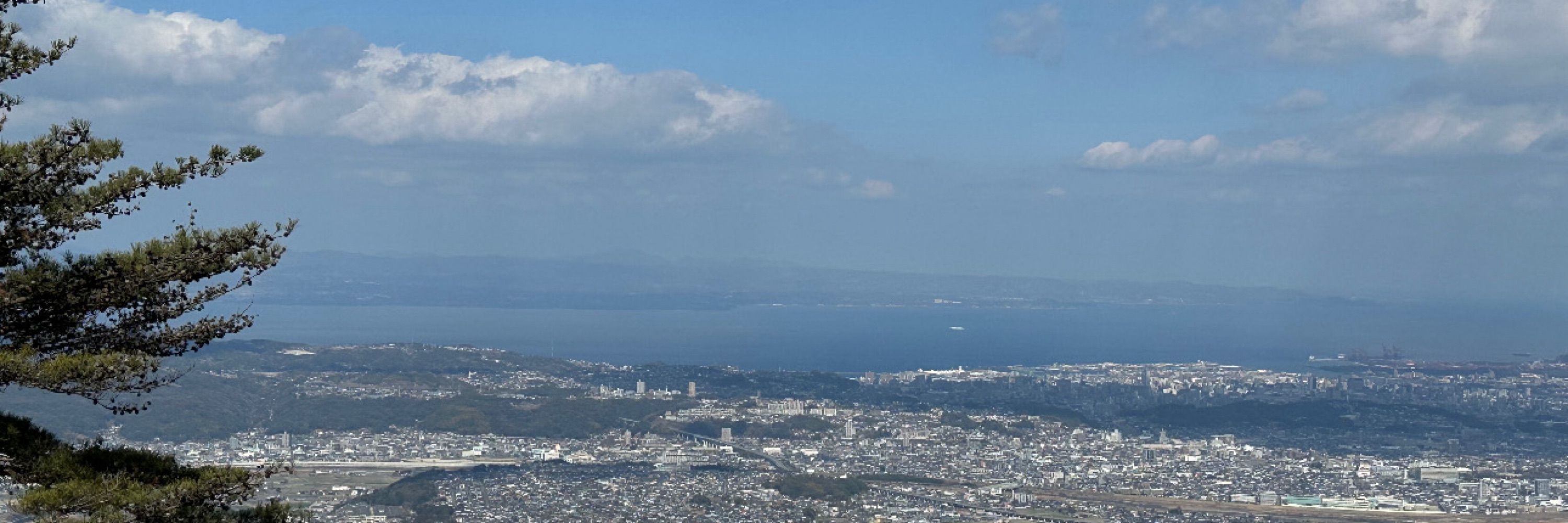 みっこ