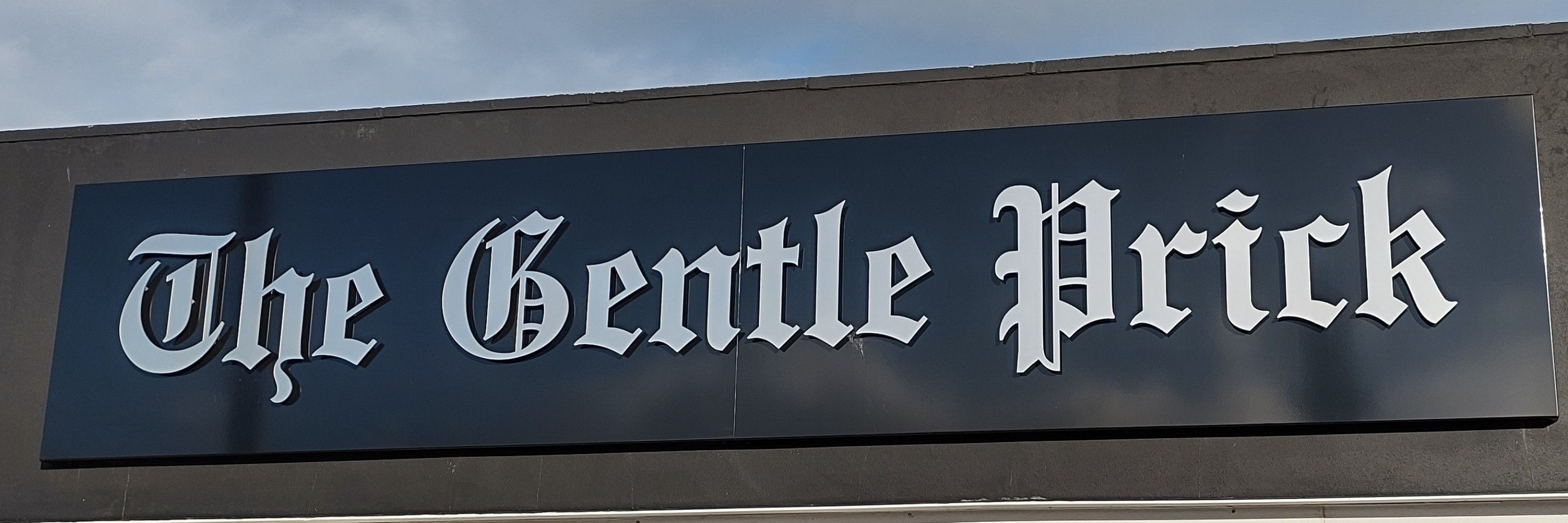 Beardie_Viking