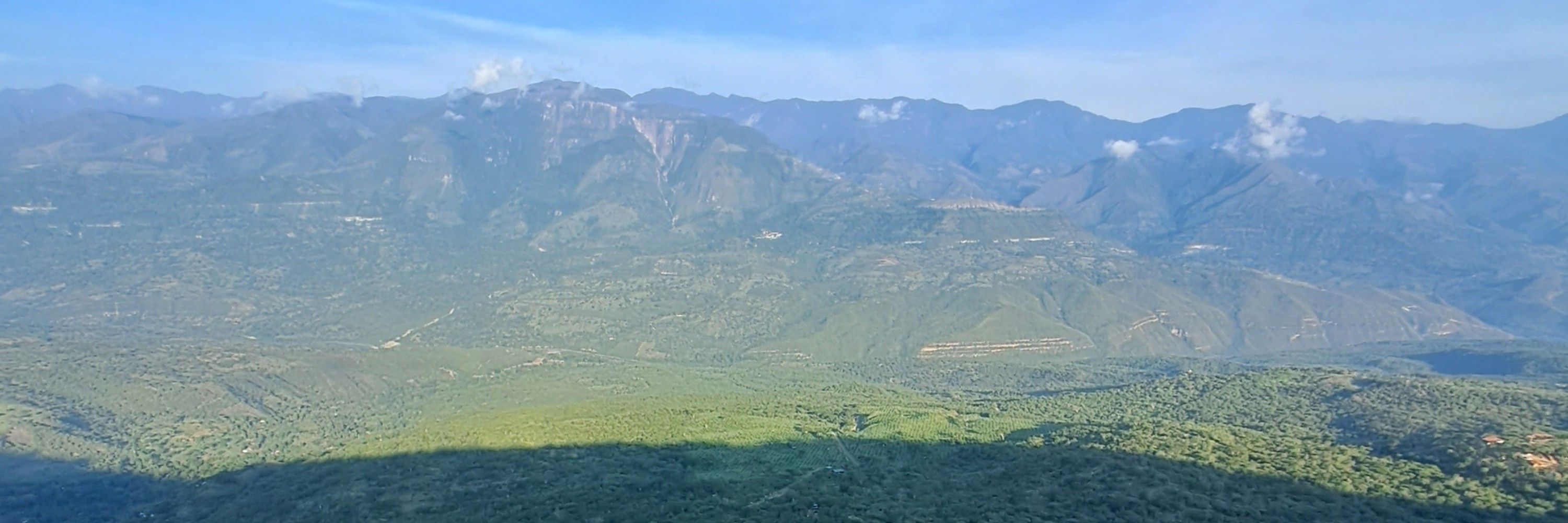Felipe Perea 