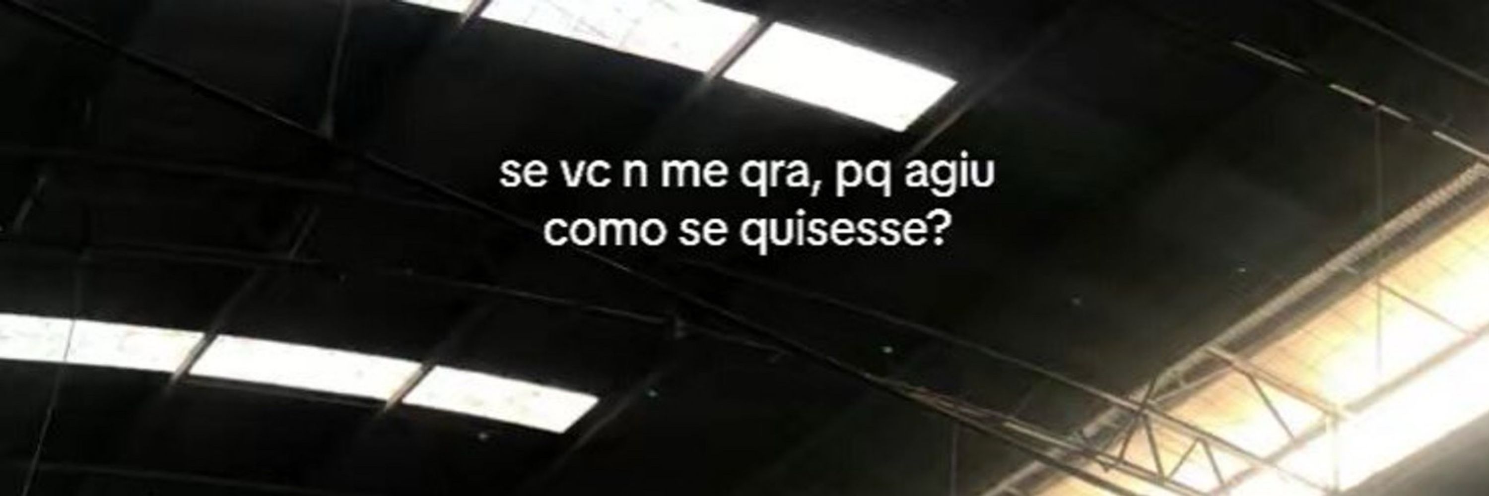 Coelho da praia 🏖️ 🐰 
