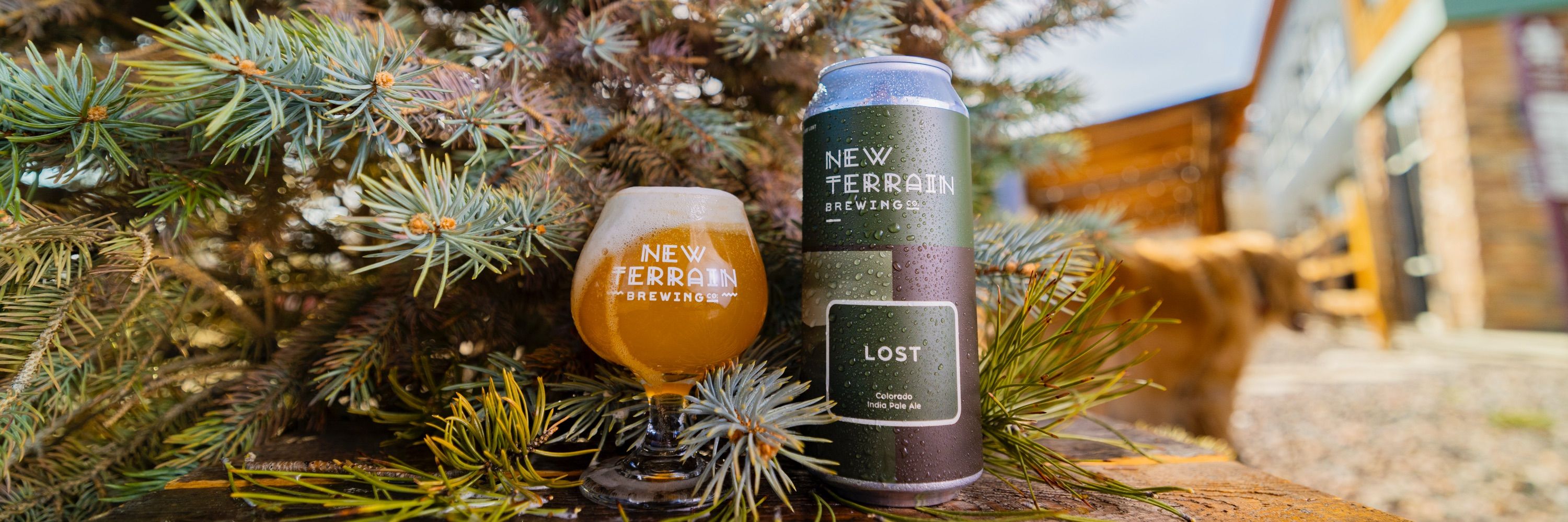 New Terrain Brewing Co