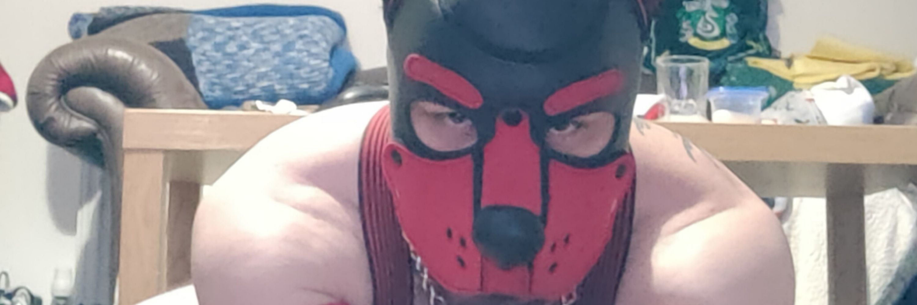 Pupdraugr
