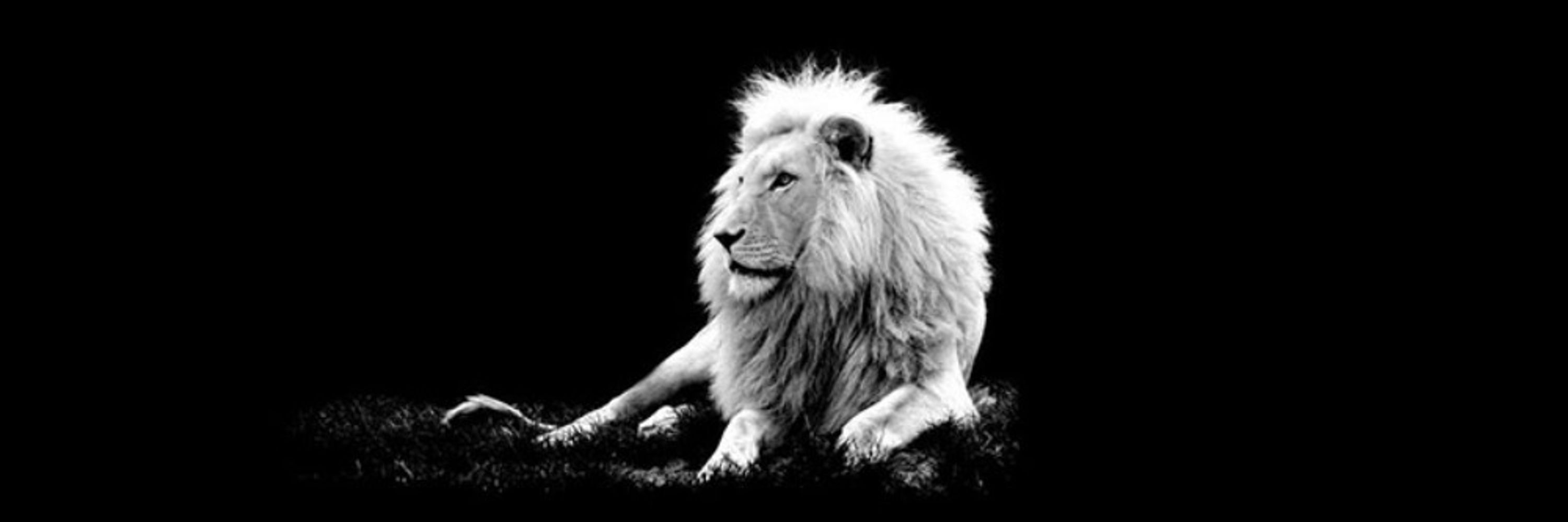 León
