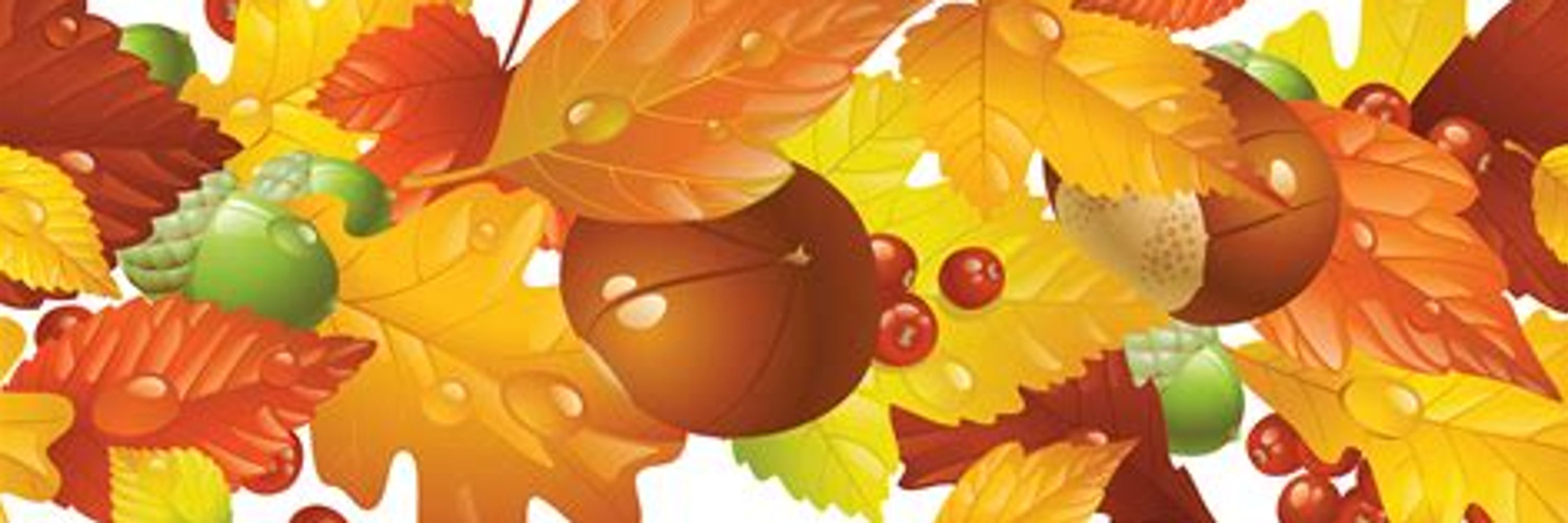 🍁Leaf🍁