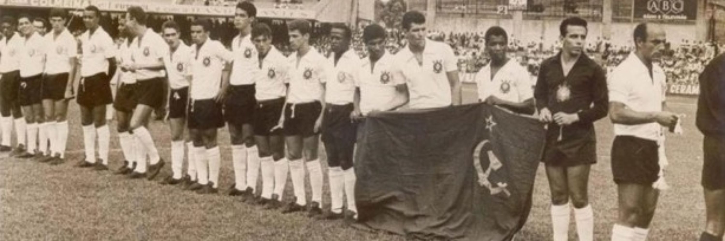 mico ladrão safado