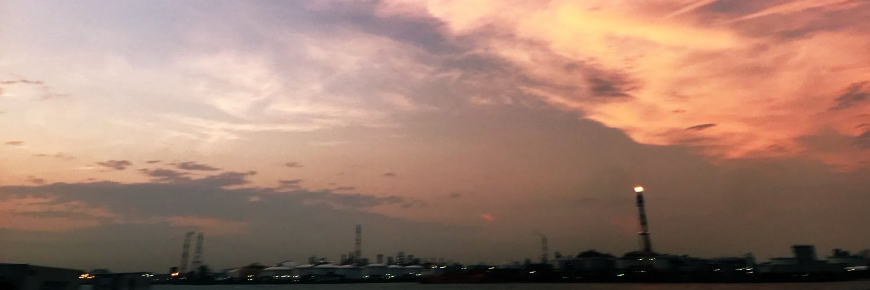 シオン