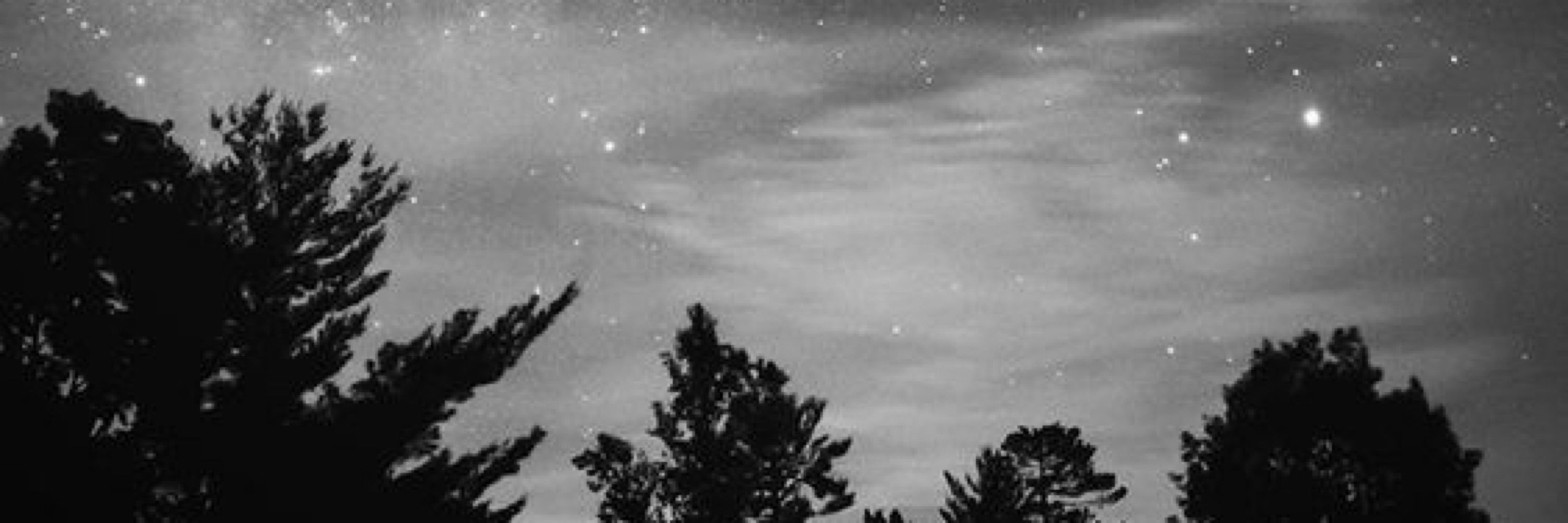 .·:*¨ ✘Ocy✘ ¨*:·. ┊͙ ˘͈ᵕ˘͈