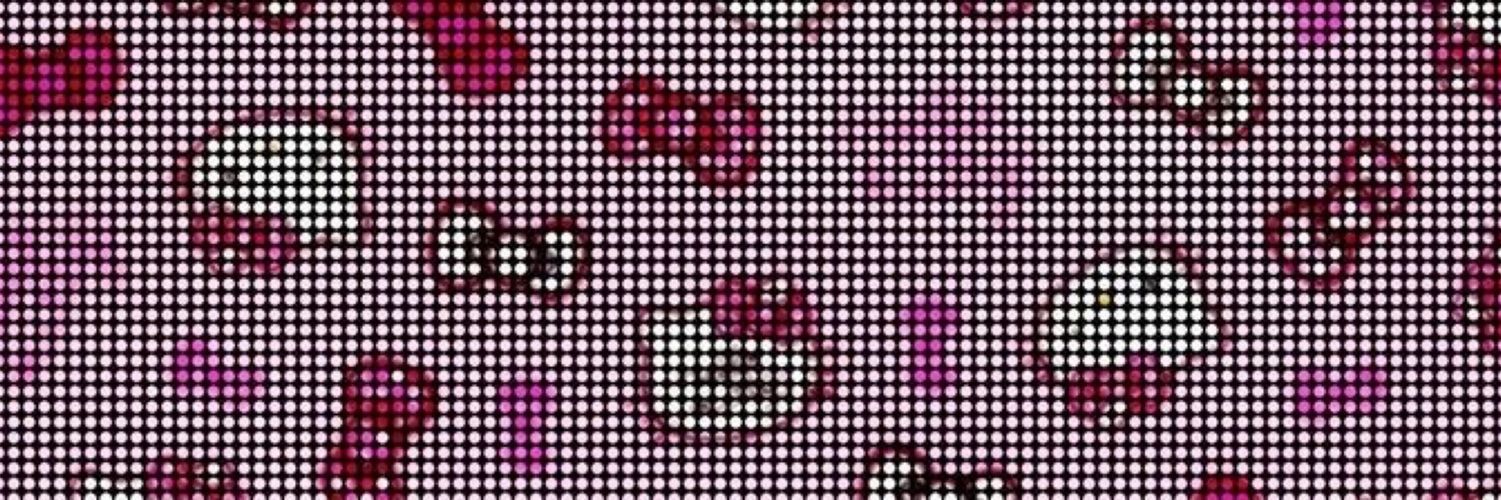 𖤐 ᴛ ᴇ ᴍ ⸝⸝ •⩊• ྀི⸝⸝