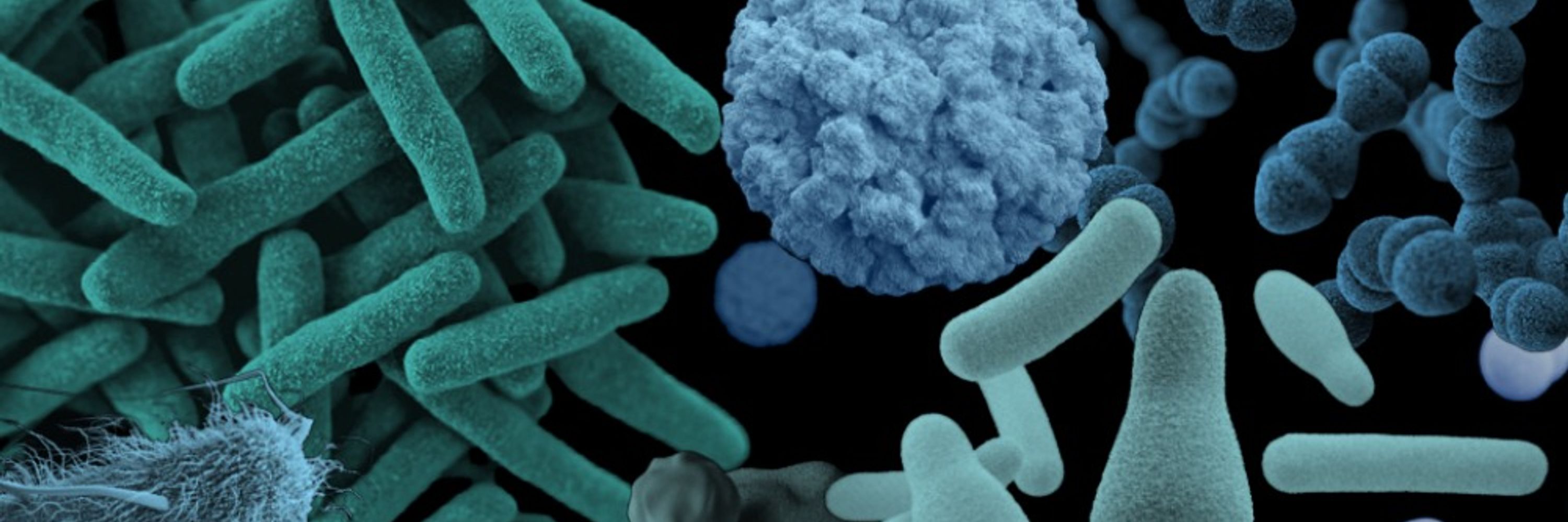 One Health Microbiome Center