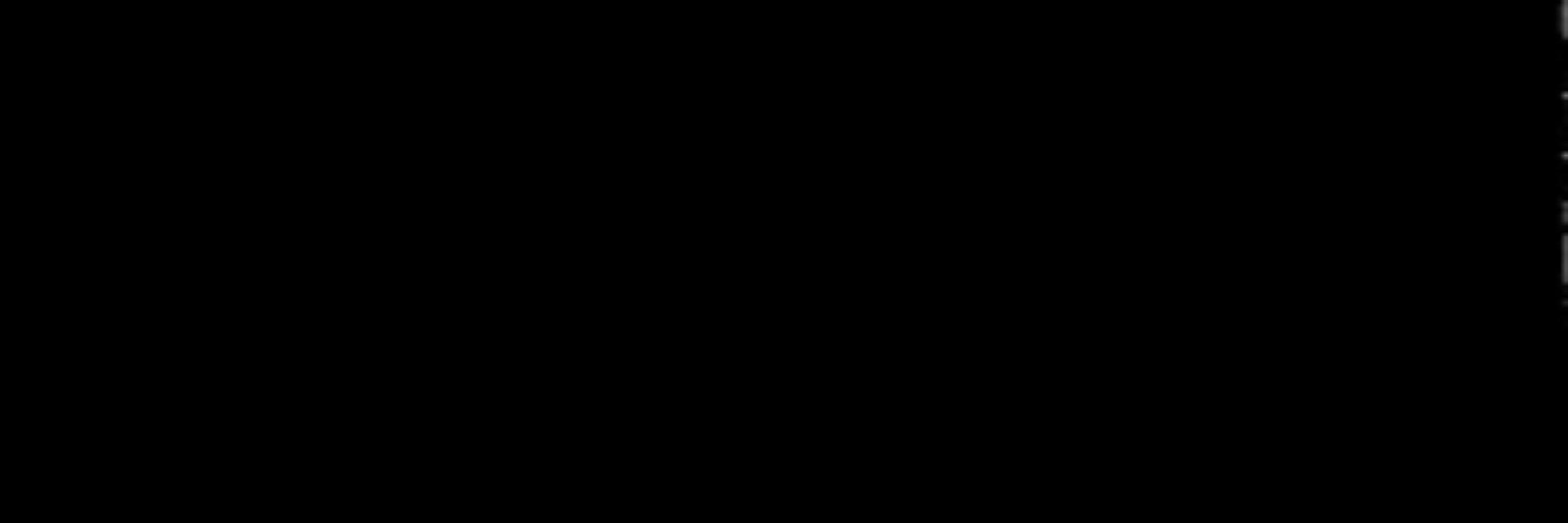 입자