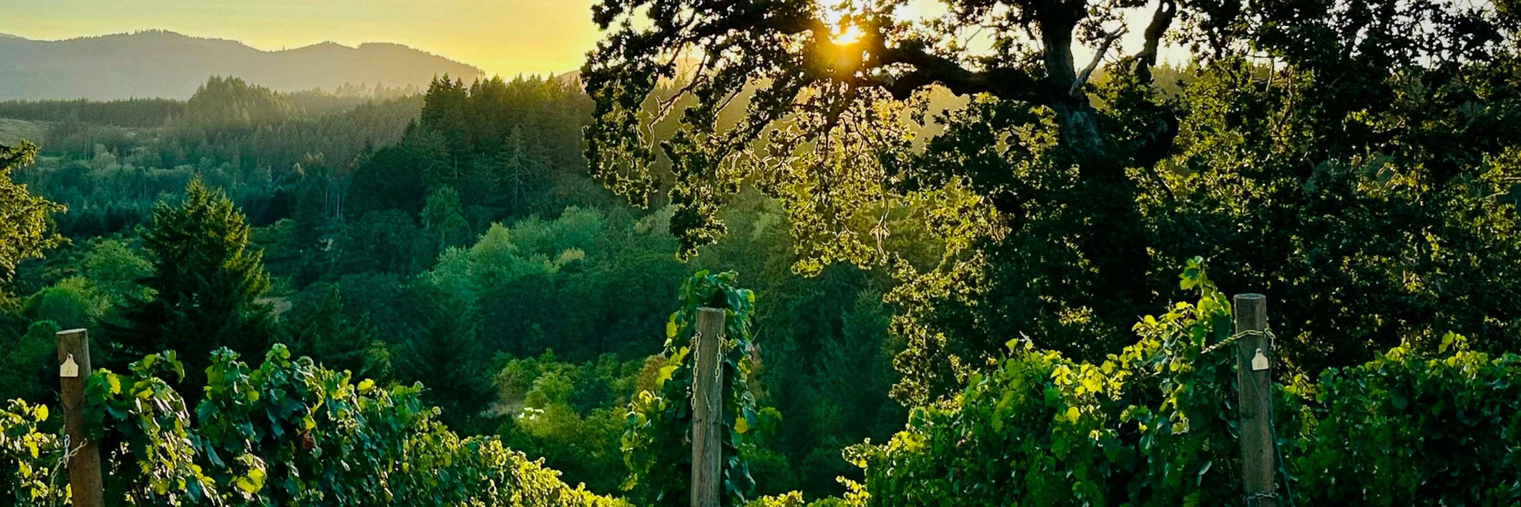Lonesome Rock Estate Wines