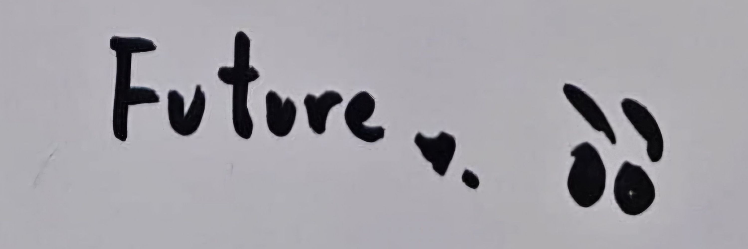 Fan ✨️
