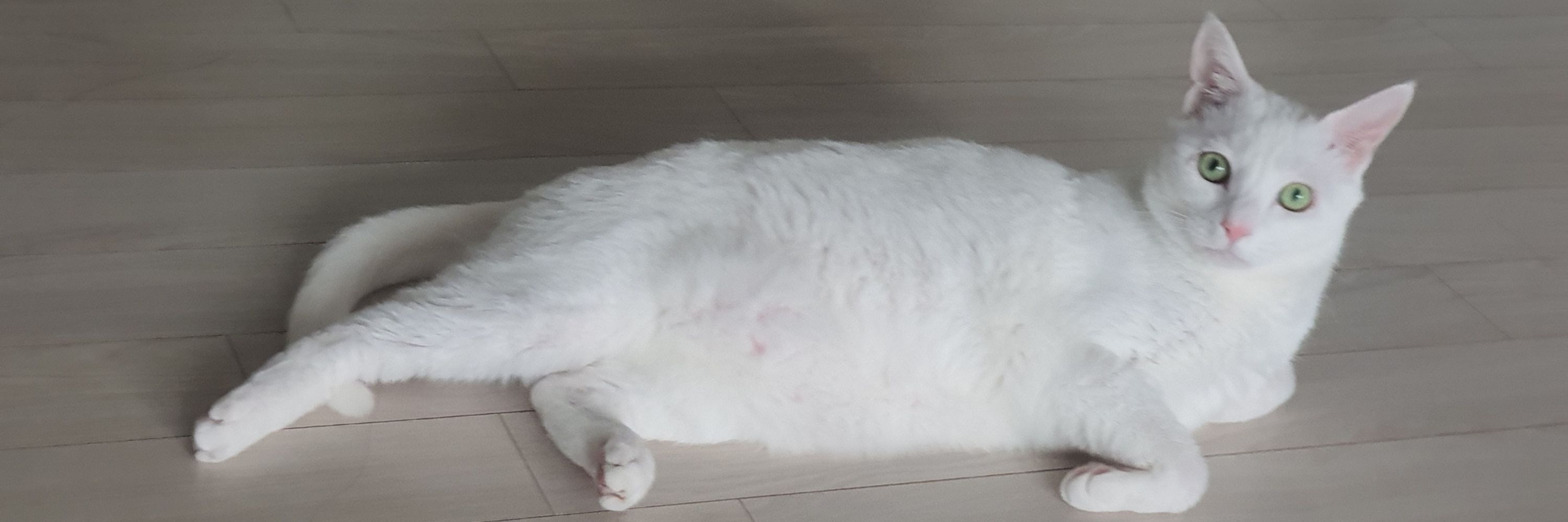 룽