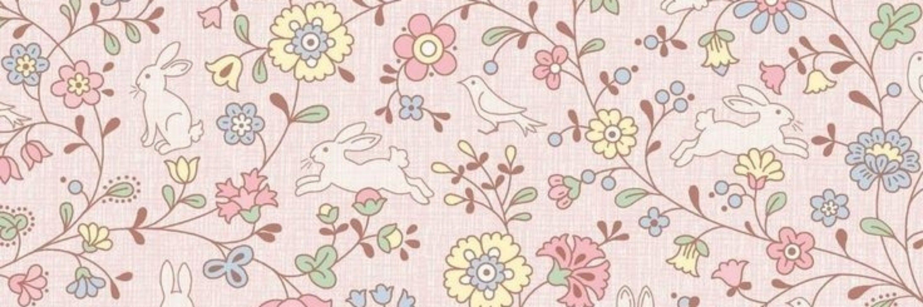 Tulipinha🌷