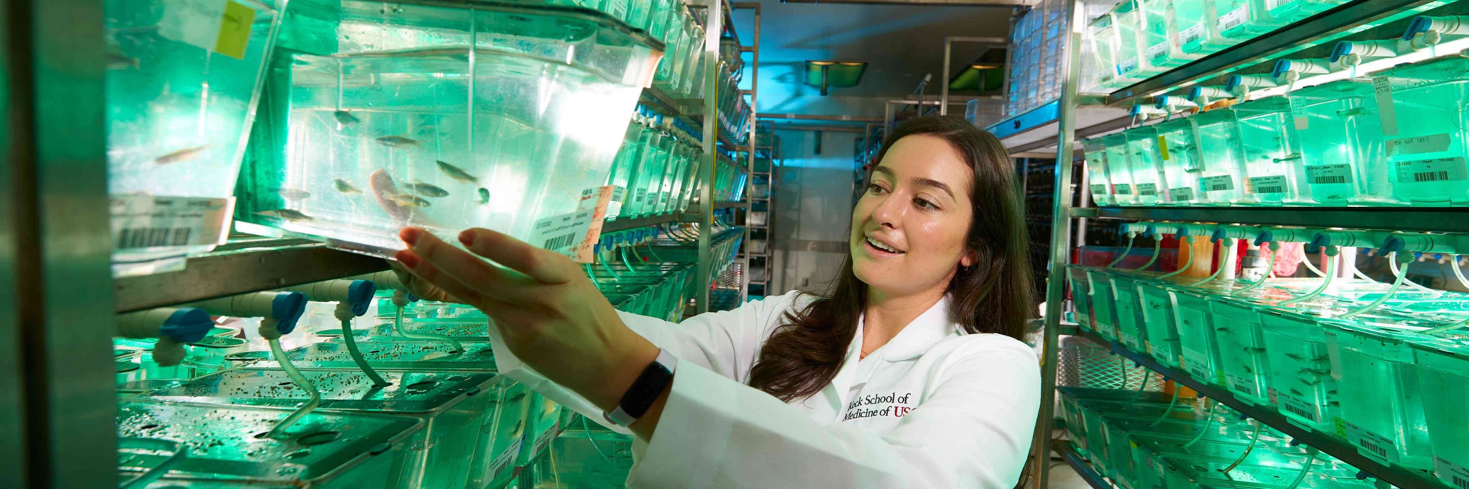 Keck School of Medicine of USC