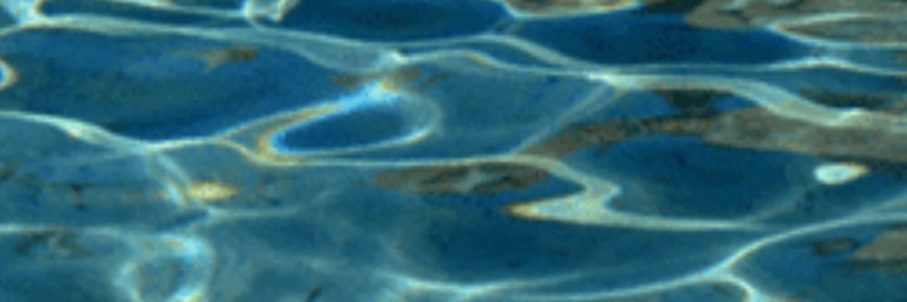 Skiplowave