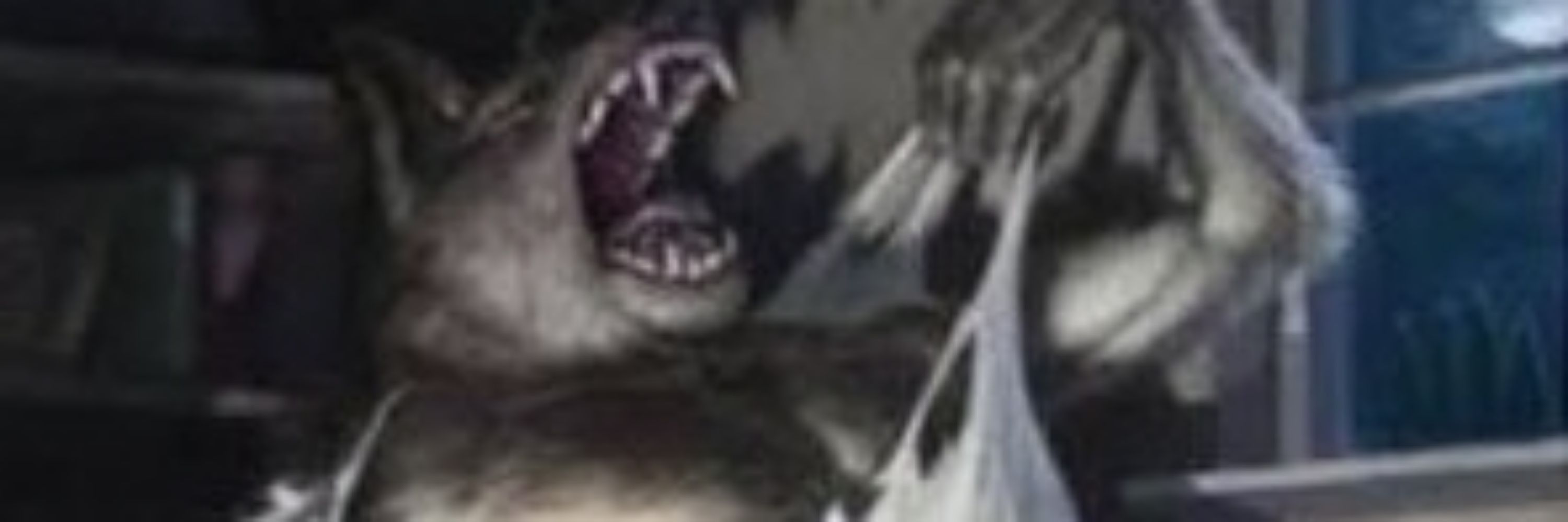𝖈𝖆𝖎𝖔 𝖕𝖊𝖗𝖓𝖆𝖑𝖔𝖓𝖌𝖆