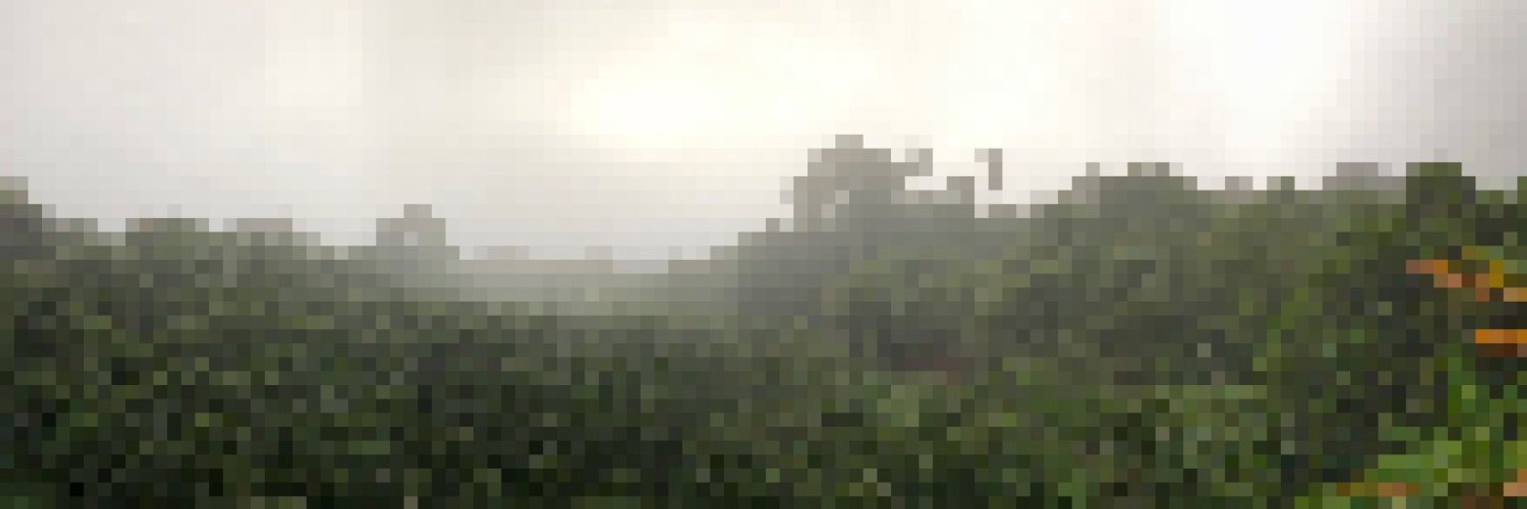 Zion Leonahenahe Basque