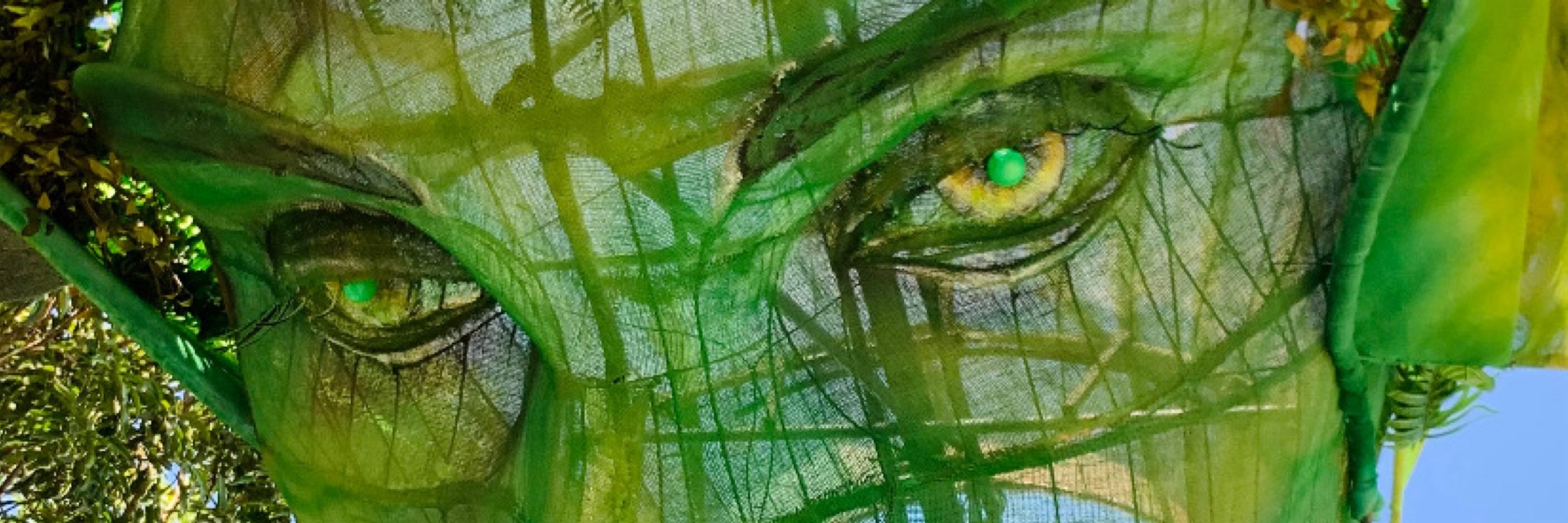 Tajá 🌿