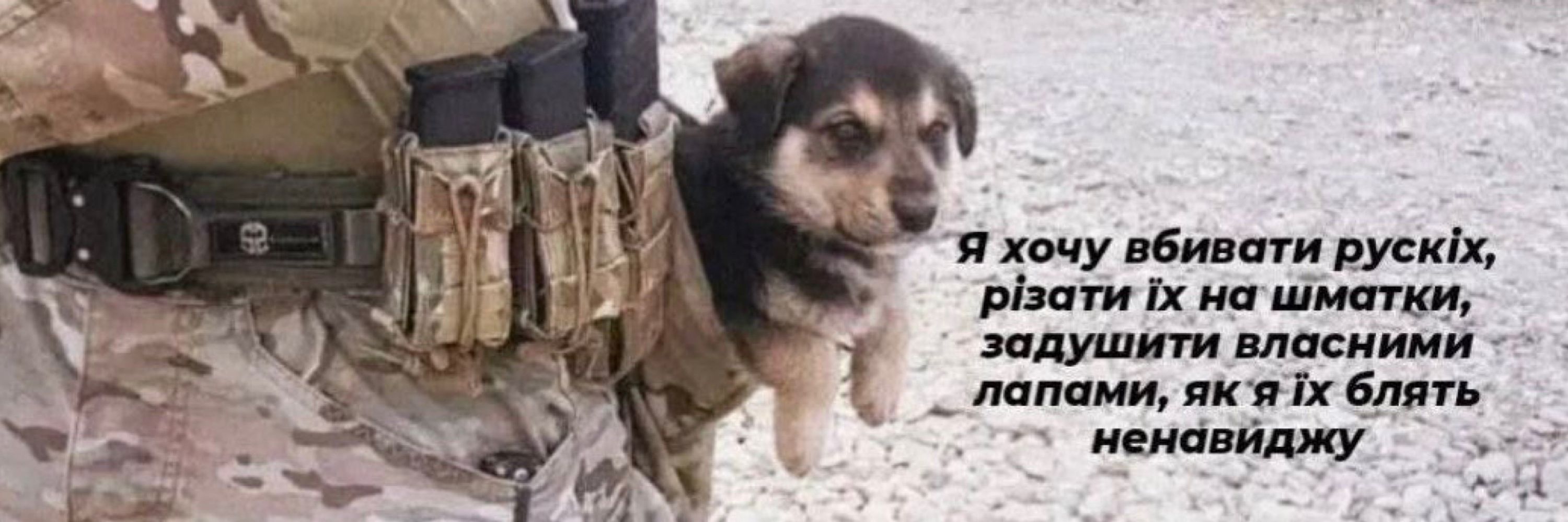 myshka litak
