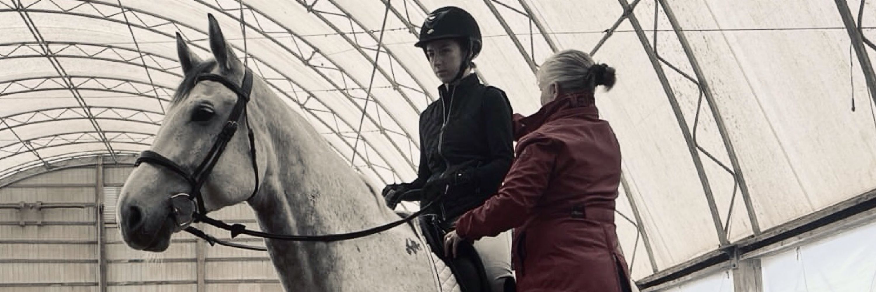 The Rider Mechanic