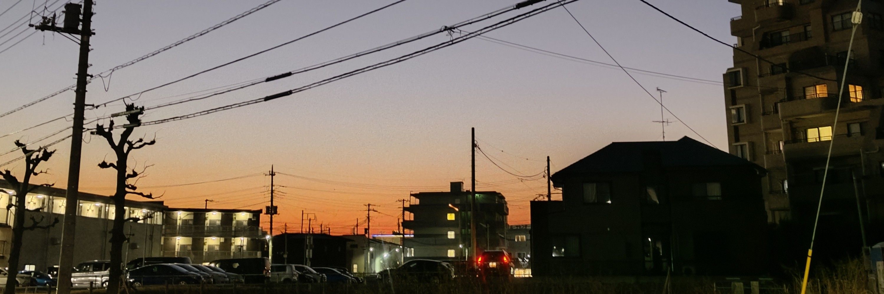 ばにぞう