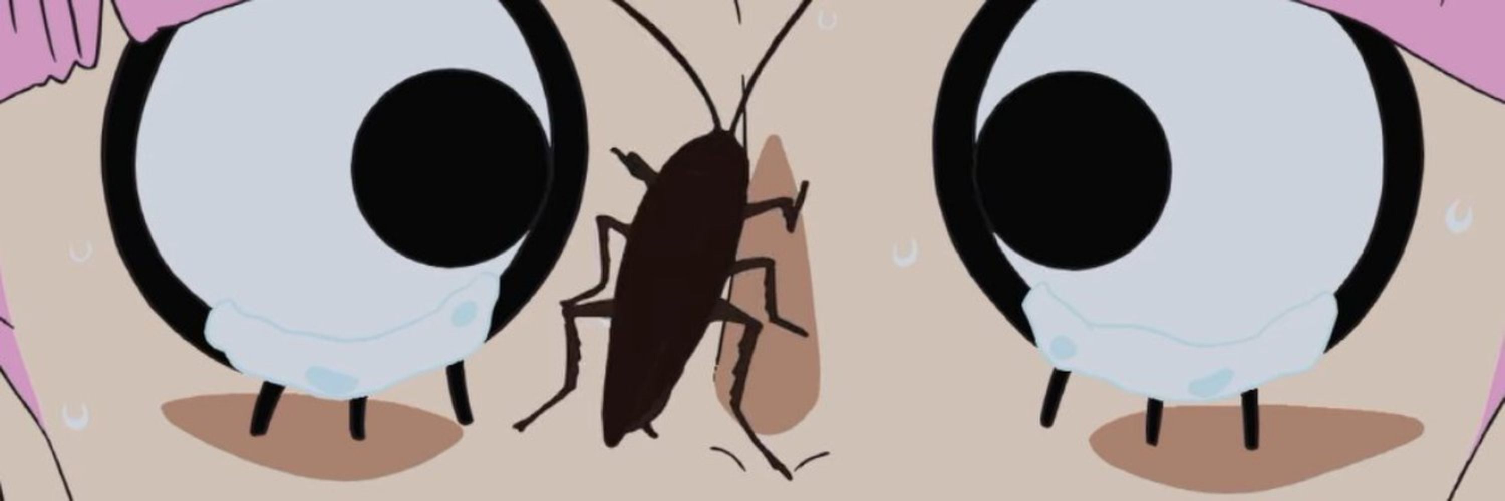 Estrogen Snorter