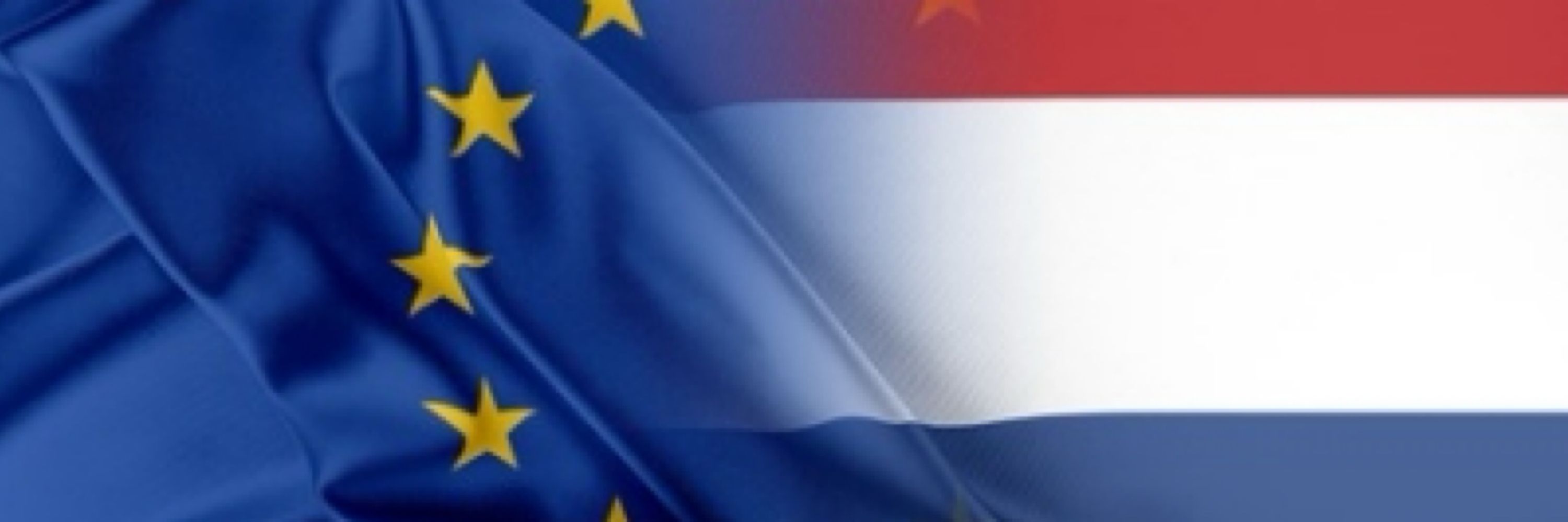 Suusuki 🇳🇱🇪🇺