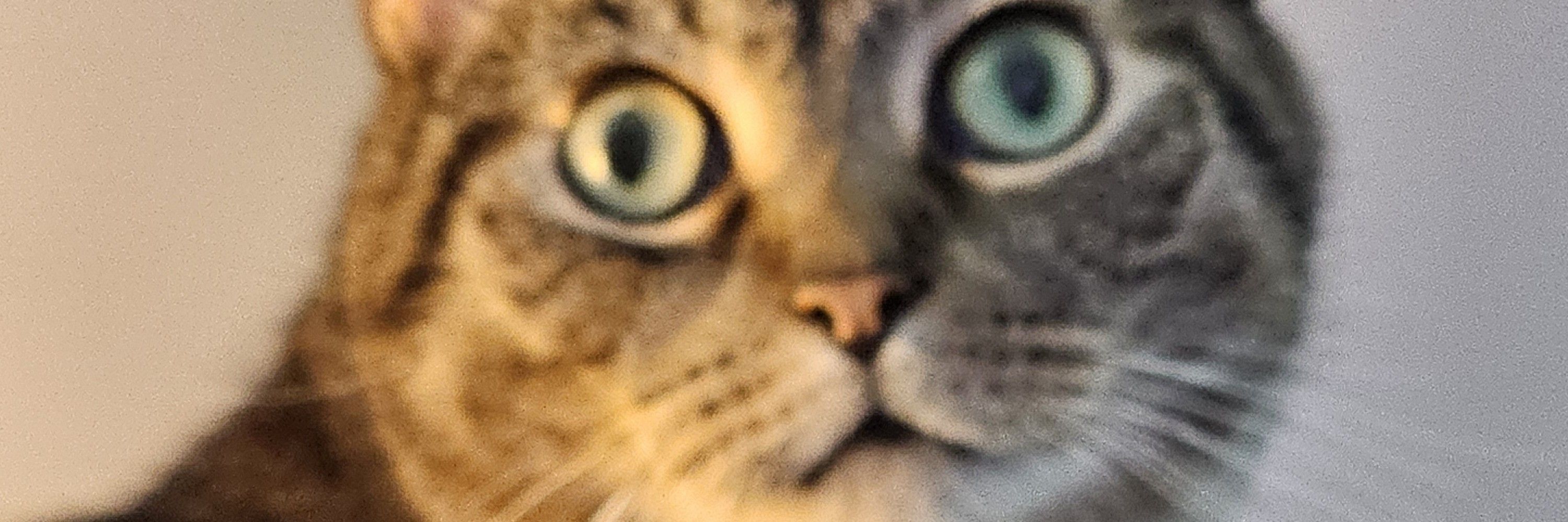Cherie