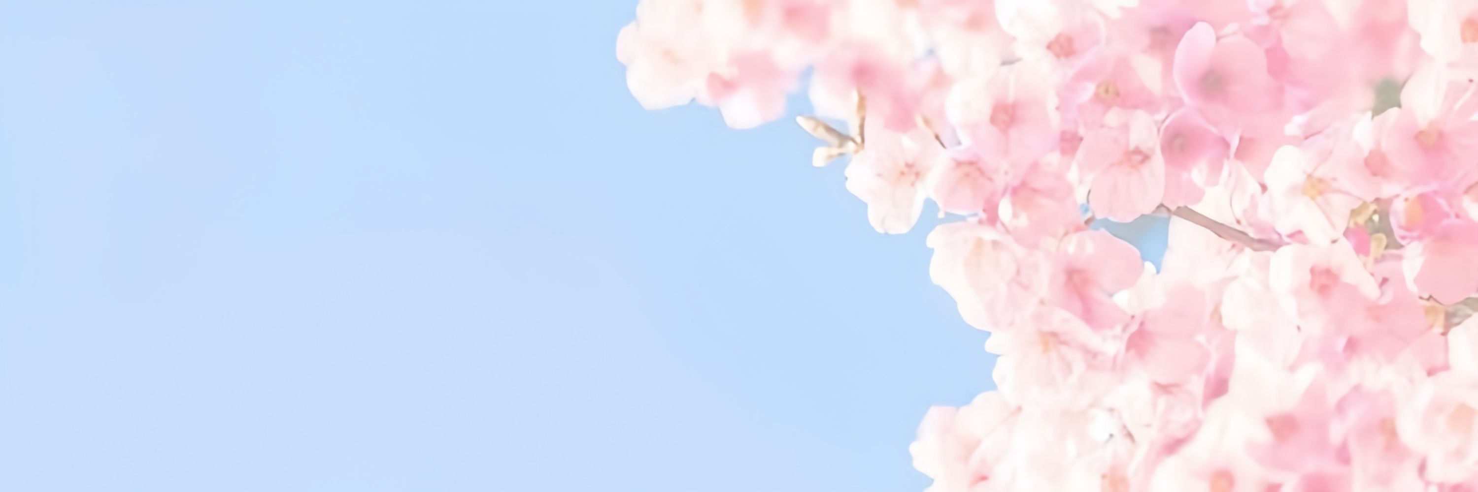 祈理 ❀ (ไม่ว่างถึงวันที่ 28)