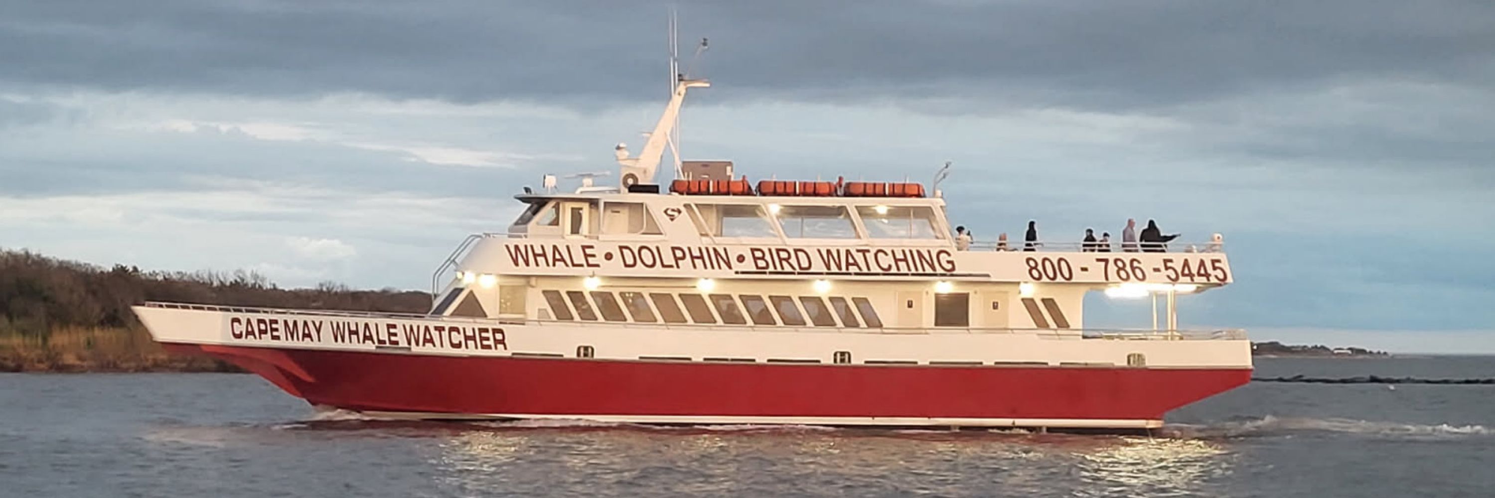 Cape May Whale Watcher