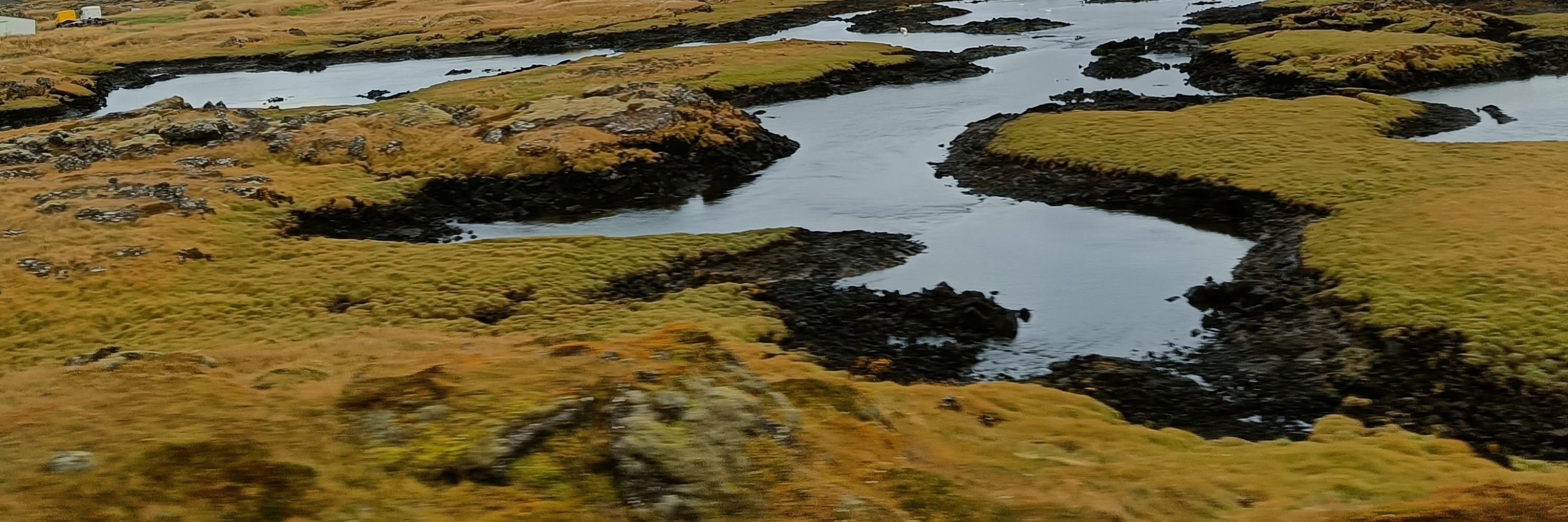 Valo Vesikauris