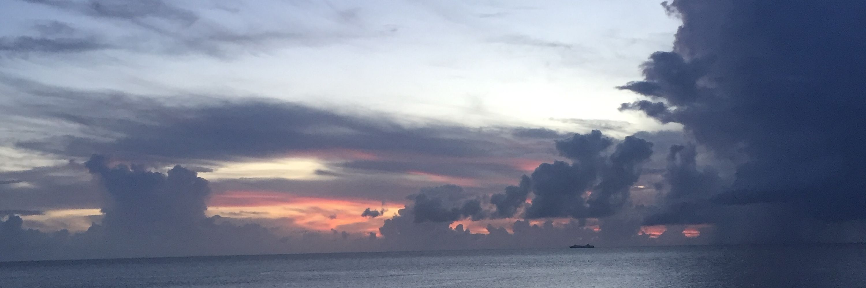 高野ひと深